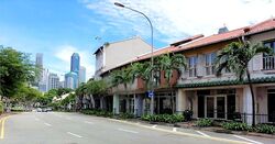 Bukit Pasoh Conservation Area (D2), Shop House #582238321